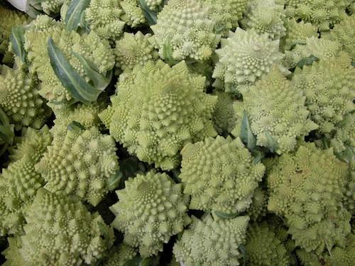 Romanesco